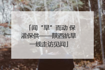 闻“旱”而动 保灌保供——陕西抗旱一线走访见闻