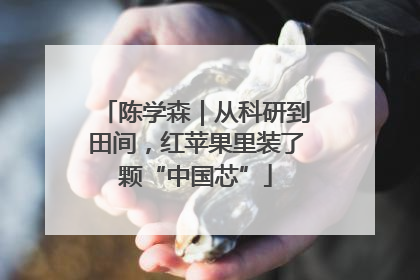 陈学森｜从科研到田间，红苹果里装了颗“中国芯”