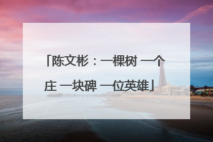 陈文彬：一棵树 一个庄 一块碑 一位英雄