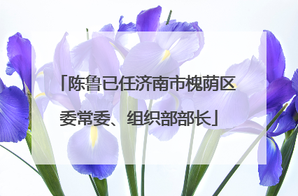 陈鲁已任济南市槐荫区委常委、组织部部长