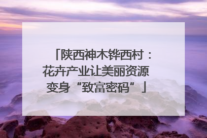 陕西神木铧西村：花卉产业让美丽资源变身“致富密码”