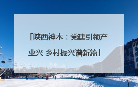 陕西神木：党建引领产业兴 乡村振兴谱新篇