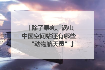 除了果蝇、涡虫 中国空间站还有哪些“动物航天员”