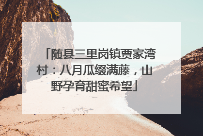 随县三里岗镇贾家湾村：八月瓜缀满藤，山野孕育甜蜜希望