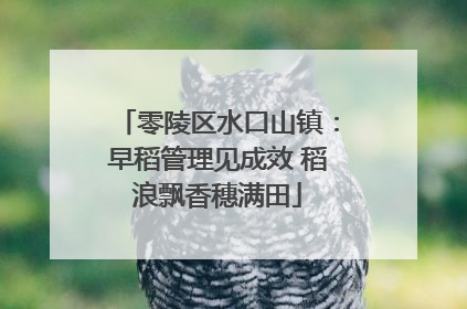 零陵区水口山镇：早稻管理见成效 稻浪飘香穗满田