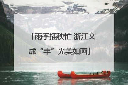 雨季插秧忙 浙江文成“丰”光美如画