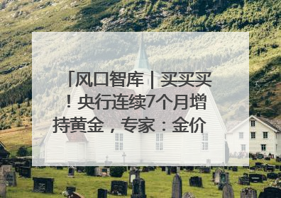 风口智库｜买买买！央行连续7个月增持黄金，专家：金价或仍易涨难跌
