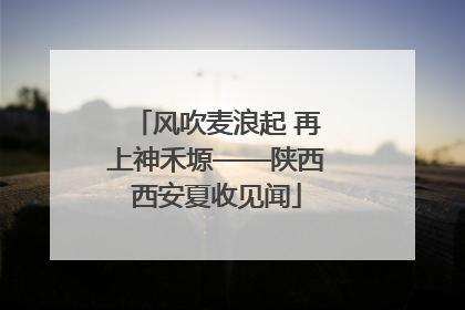 风吹麦浪起 再上神禾塬——陕西西安夏收见闻