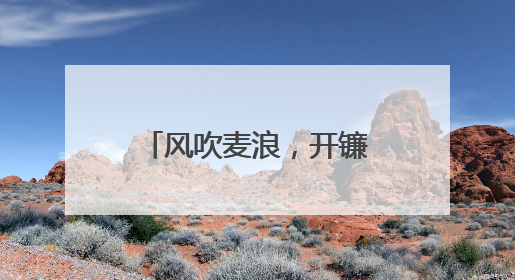 风吹麦浪，开镰啦！顺义15万亩小麦迎来丰收