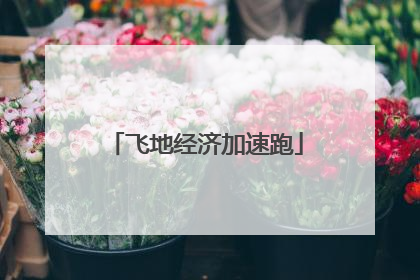 飞地经济加速跑