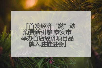 首发经济“燃”动消费新引擎 泰安市举办首店经济项目品牌入驻推进会