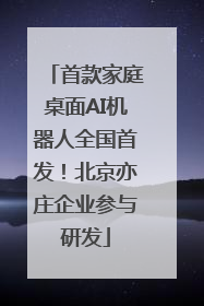 首款家庭桌面AI机器人全国首发！北京亦庄企业参与研发