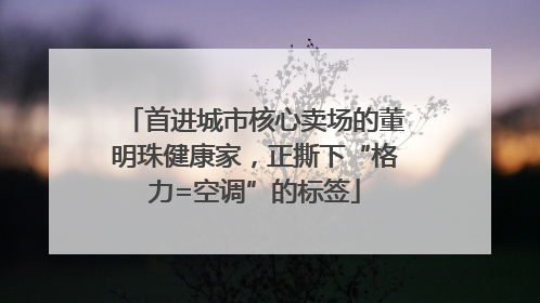 首进城市核心卖场的董明珠健康家，正撕下“格力=空调”的标签