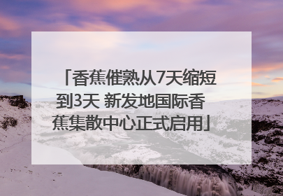 香蕉催熟从7天缩短到3天 新发地国际香蕉集散中心正式启用