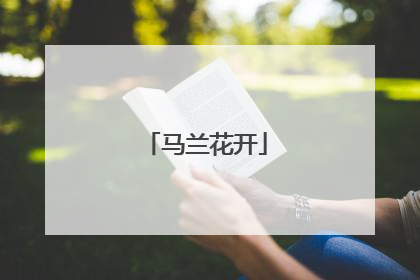 马兰花开