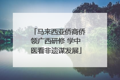 马来西亚侨商侨领广西研修 学中医看非遗谋发展