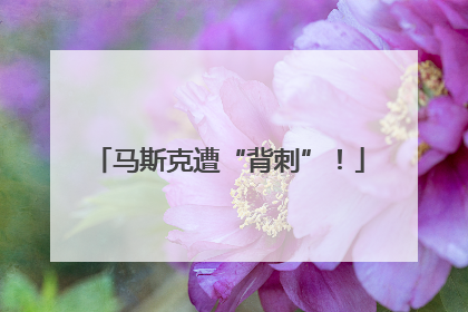 马斯克遭“背刺”！