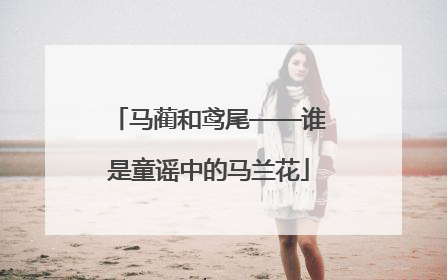 马蔺和鸢尾——谁是童谣中的马兰花