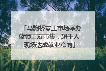 马驹桥零工市场举办蓝领工友市集，超千人现场达成就业意向