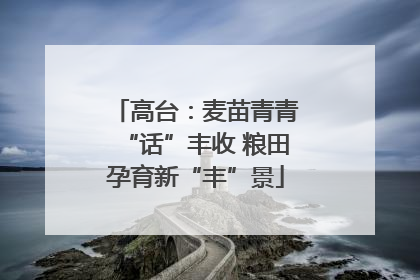 高台：麦苗青青“话”丰收 粮田孕育新“丰”景