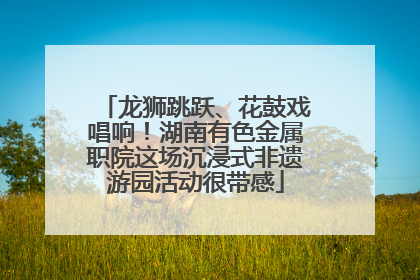 龙狮跳跃、花鼓戏唱响！湖南有色金属职院这场沉浸式非遗游园活动很带感