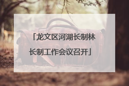 龙文区河湖长制林长制工作会议召开
