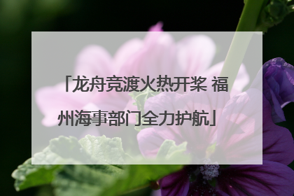 龙舟竞渡火热开桨 福州海事部门全力护航