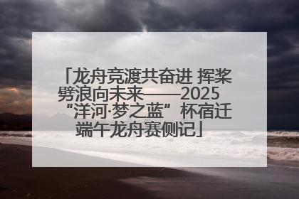 龙舟竞渡共奋进 挥桨劈浪向未来——2025“洋河·梦之蓝”杯宿迁端午龙舟赛侧记