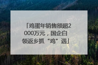 鸡蛋年销售额超2000万元，国企白领返乡抓“鸡”遇