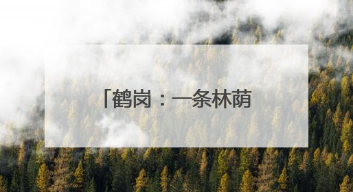 鹤岗：一条林荫大道融合“自然风光＋欧陆风情”成热门打卡地