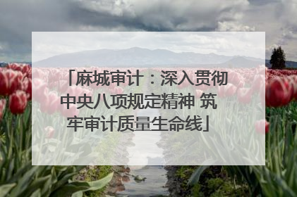 麻城审计：深入贯彻中央八项规定精神 筑牢审计质量生命线