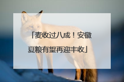 麦收过八成！安徽夏粮有望再迎丰收
