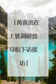 黄喜忠在上犹调研督导和下访接访