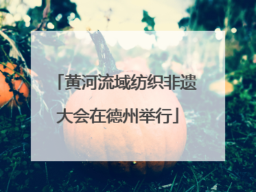 黄河流域纺织非遗大会在德州举行