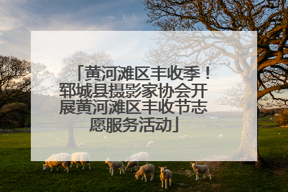黄河滩区丰收季！郓城县摄影家协会开展黄河滩区丰收节志愿服务活动