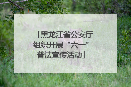 黑龙江省公安厅组织开展“六一”普法宣传活动