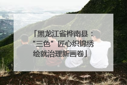 黑龙江省桦南县：“三色”匠心织锦绣 绘就治理新画卷