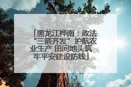 黑龙江桦南：政法“三箭齐发”护航农业生产 田间地头筑牢平安建设防线