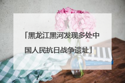 黑龙江黑河发现多处中国人民抗日战争遗址