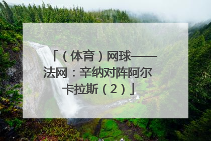 （体育）网球——法网：辛纳对阵阿尔卡拉斯（2）