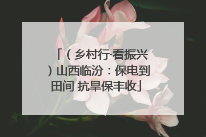 （乡村行·看振兴）山西临汾：保电到田间 抗旱保丰收
