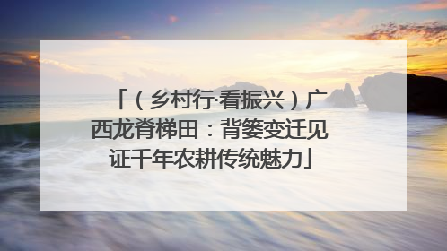 （乡村行·看振兴）广西龙脊梯田：背篓变迁见证千年农耕传统魅力