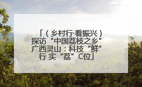 （乡村行·看振兴）探访“中国荔枝之乡”广西灵山：科技“鲜”行 实“荔”C位