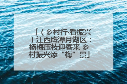 （乡村行·看振兴）江西鹰潭月湖区：杨梅压枝迎客来 乡村振兴添“梅”景