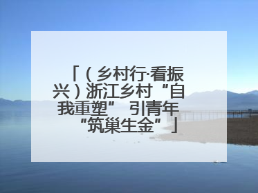 （乡村行·看振兴）浙江乡村“自我重塑” 引青年“筑巢生金”