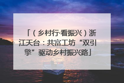 （乡村行·看振兴）浙江天台：共富工坊“双引擎”驱动乡村振兴路