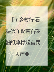 （乡村行·看振兴）湖南石鼓油纸伞撑起富民大产业