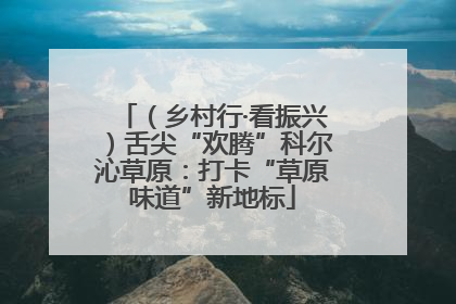 （乡村行·看振兴）舌尖“欢腾”科尔沁草原：打卡“草原味道”新地标