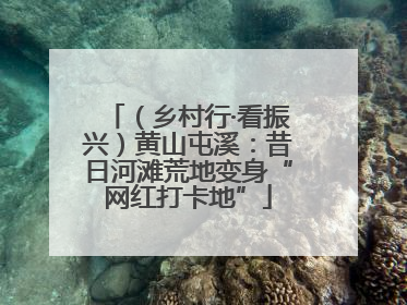 （乡村行·看振兴）黄山屯溪：昔日河滩荒地变身“网红打卡地”