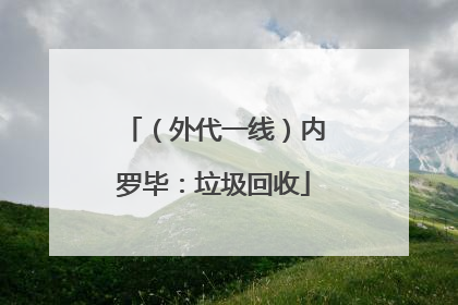 （外代一线）内罗毕：垃圾回收